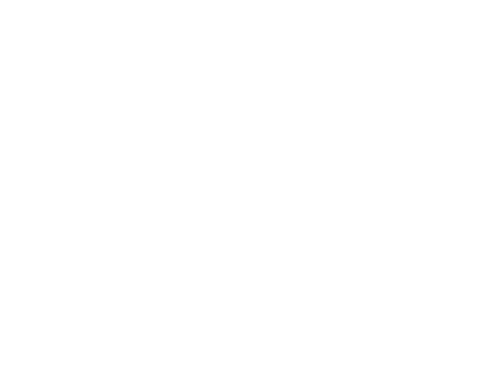 hirs advies Logo